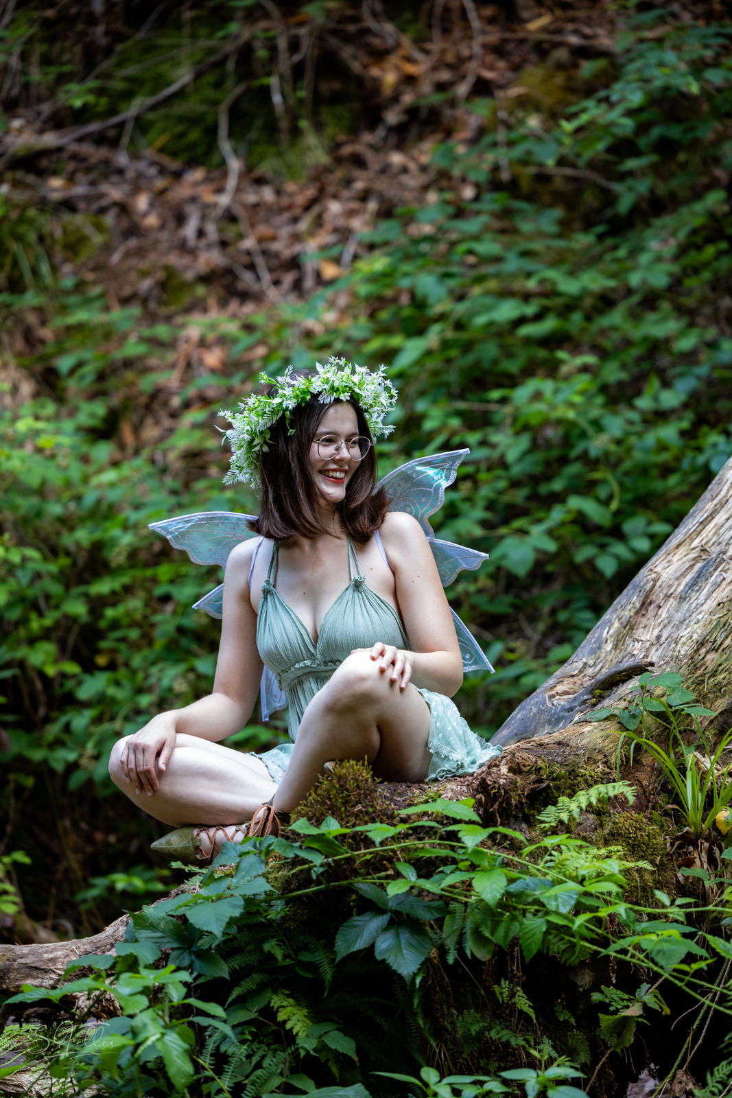 The Fairy Dream Wings In Light Green