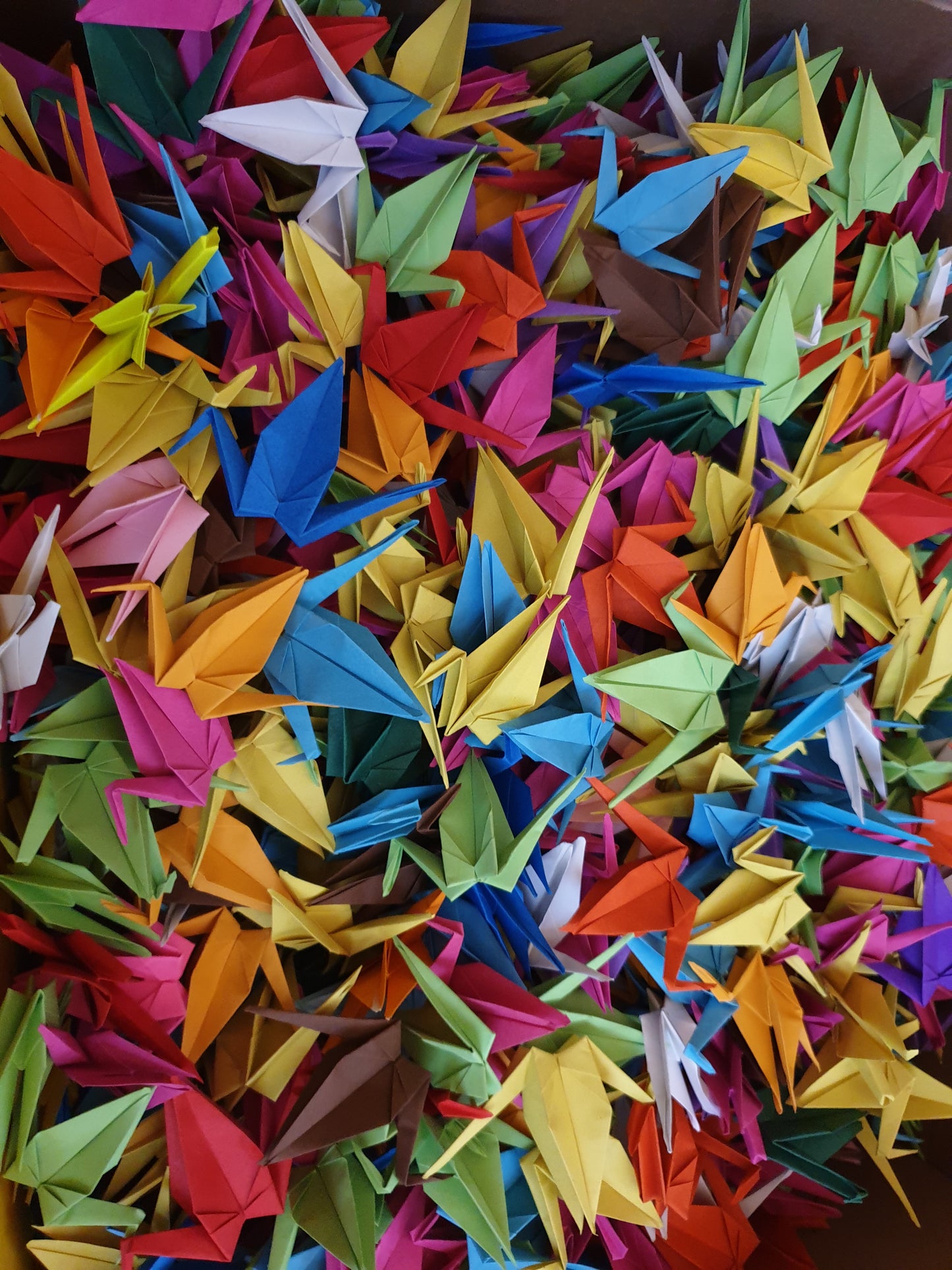 The Origami Cranes in Mixed Colors