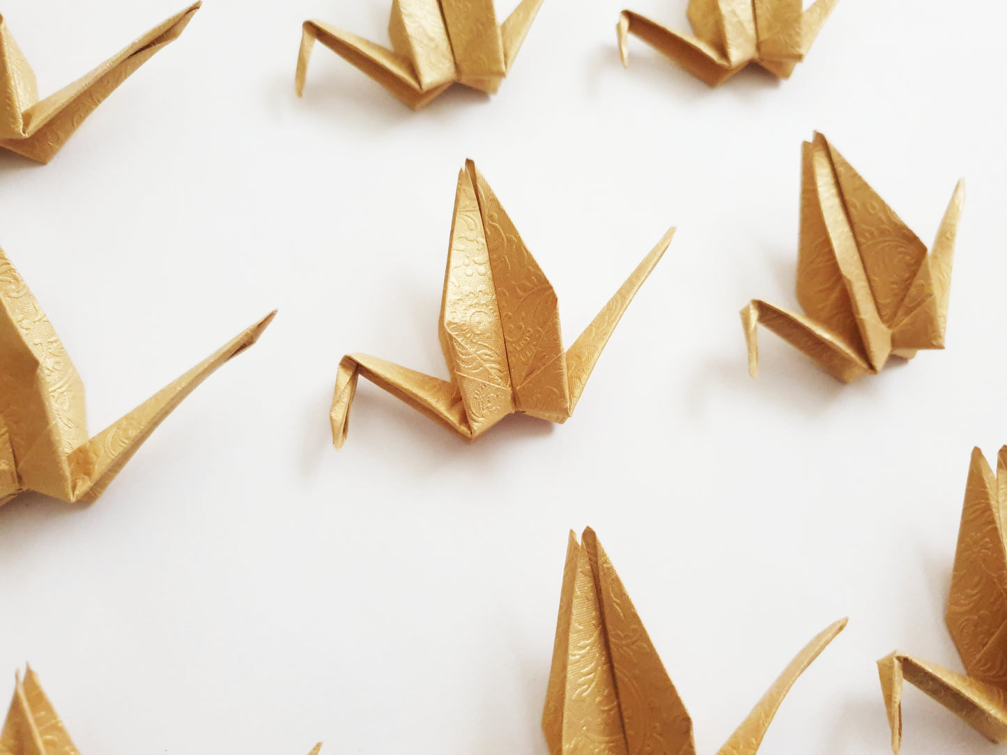 The Golden Origami Cranes