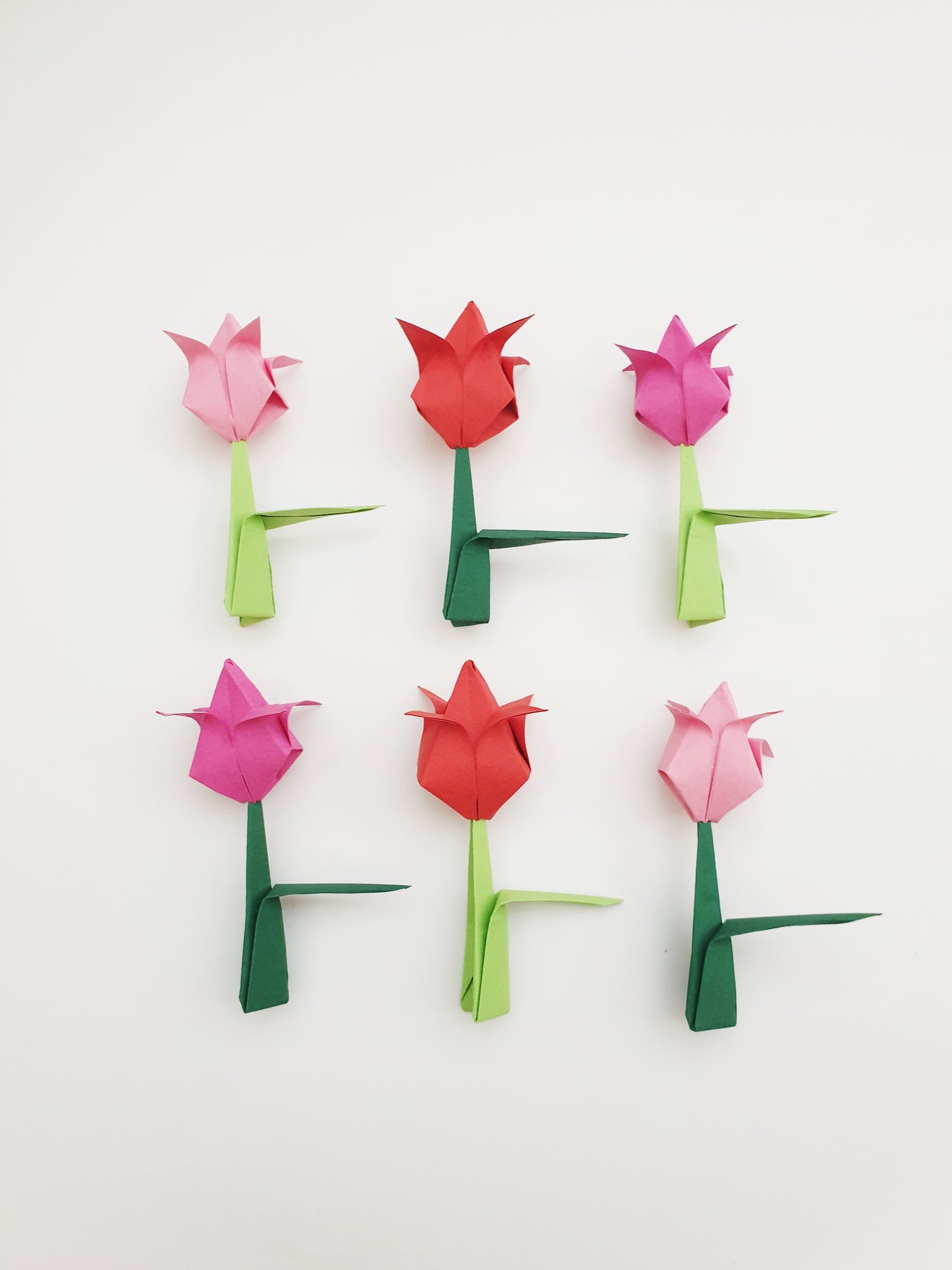 The Origami Tulips