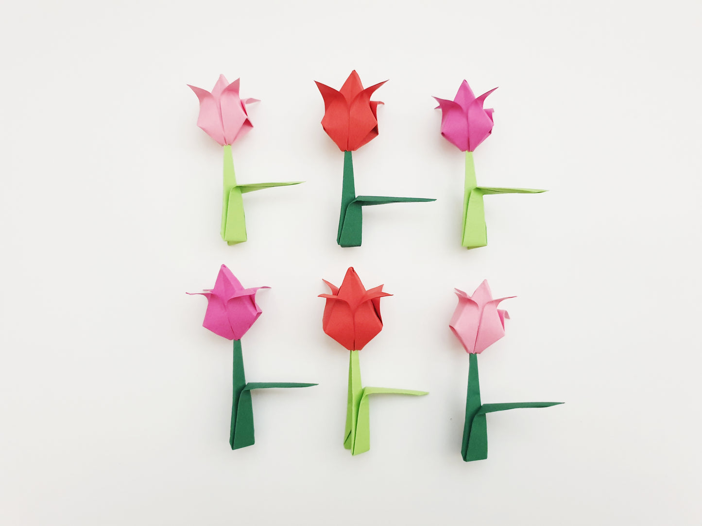 The Origami Tulips