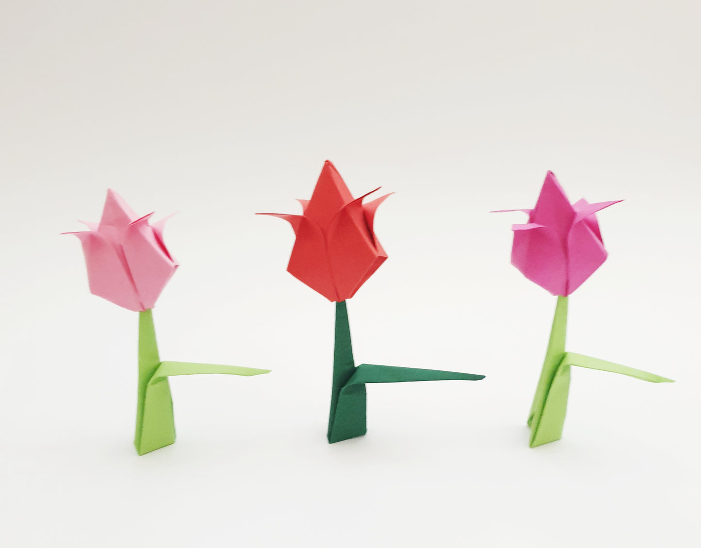 The Origami Tulips