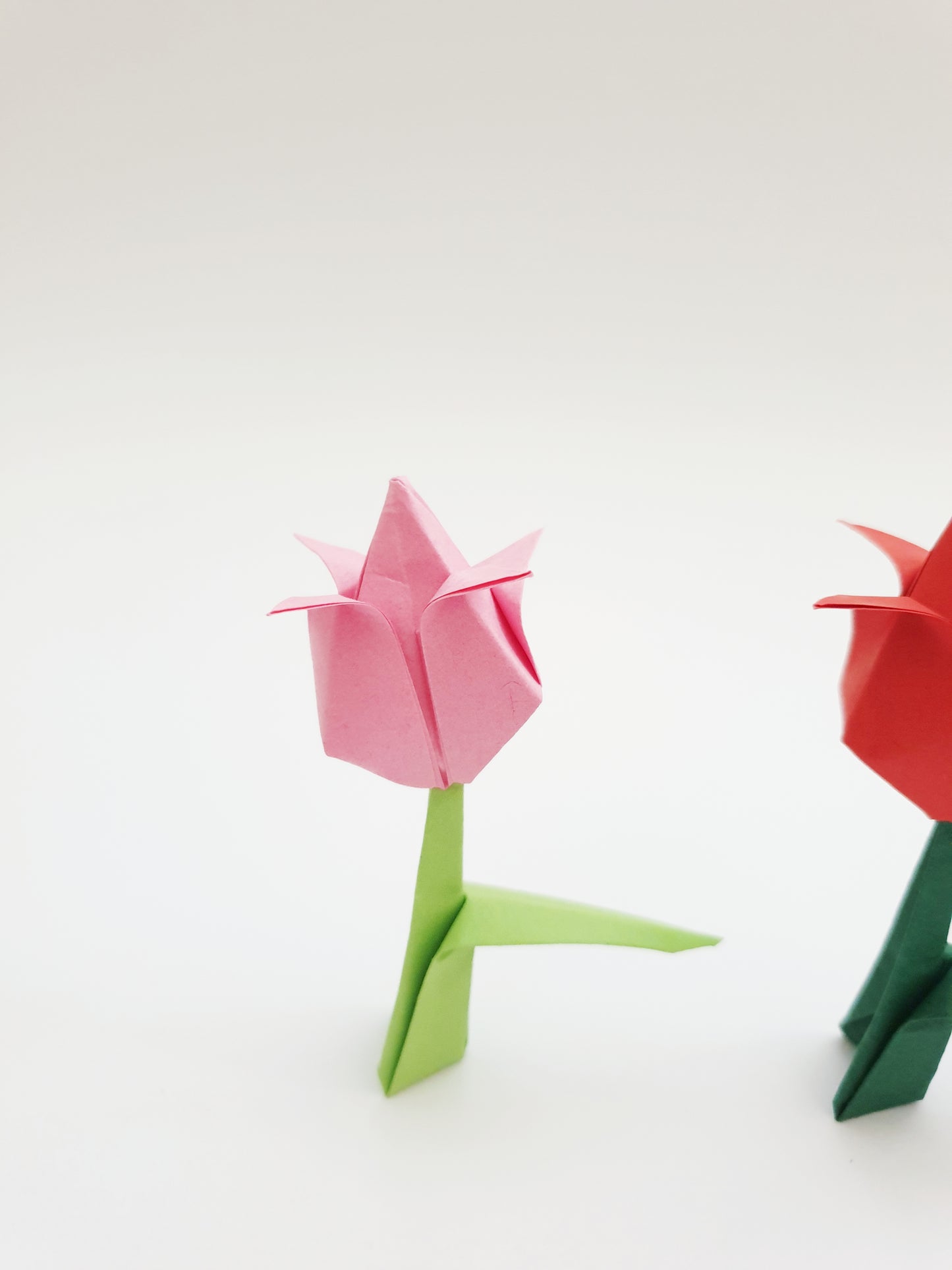 The Origami Tulips