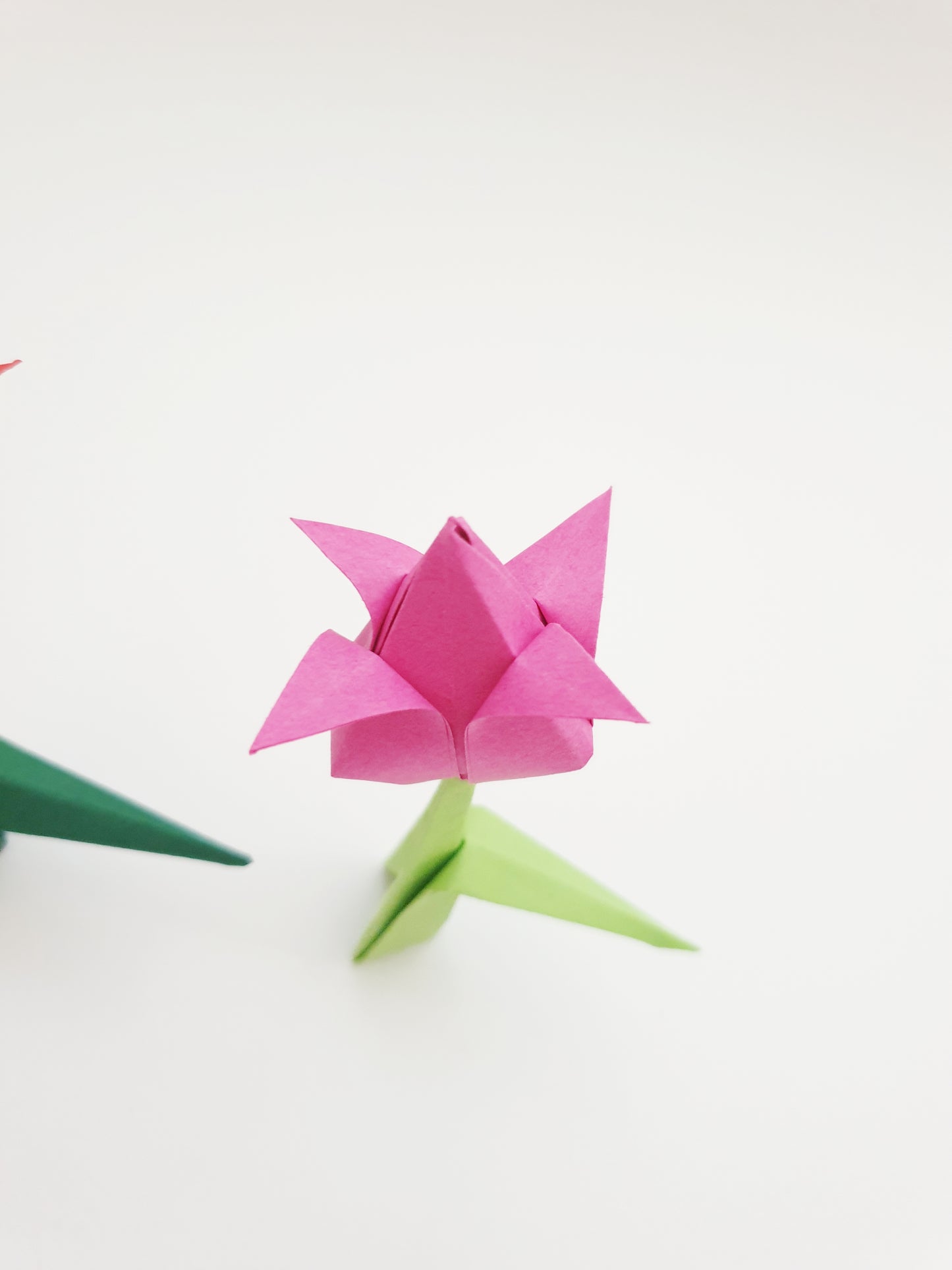 The Origami Tulips