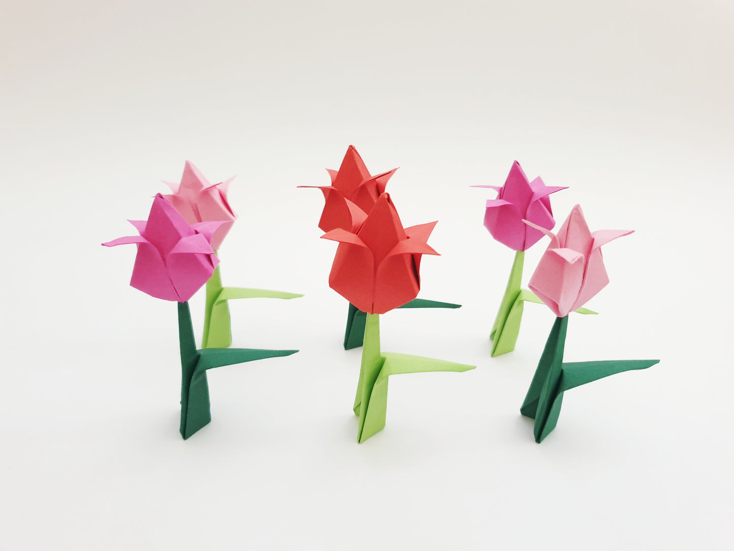 The Origami Tulips