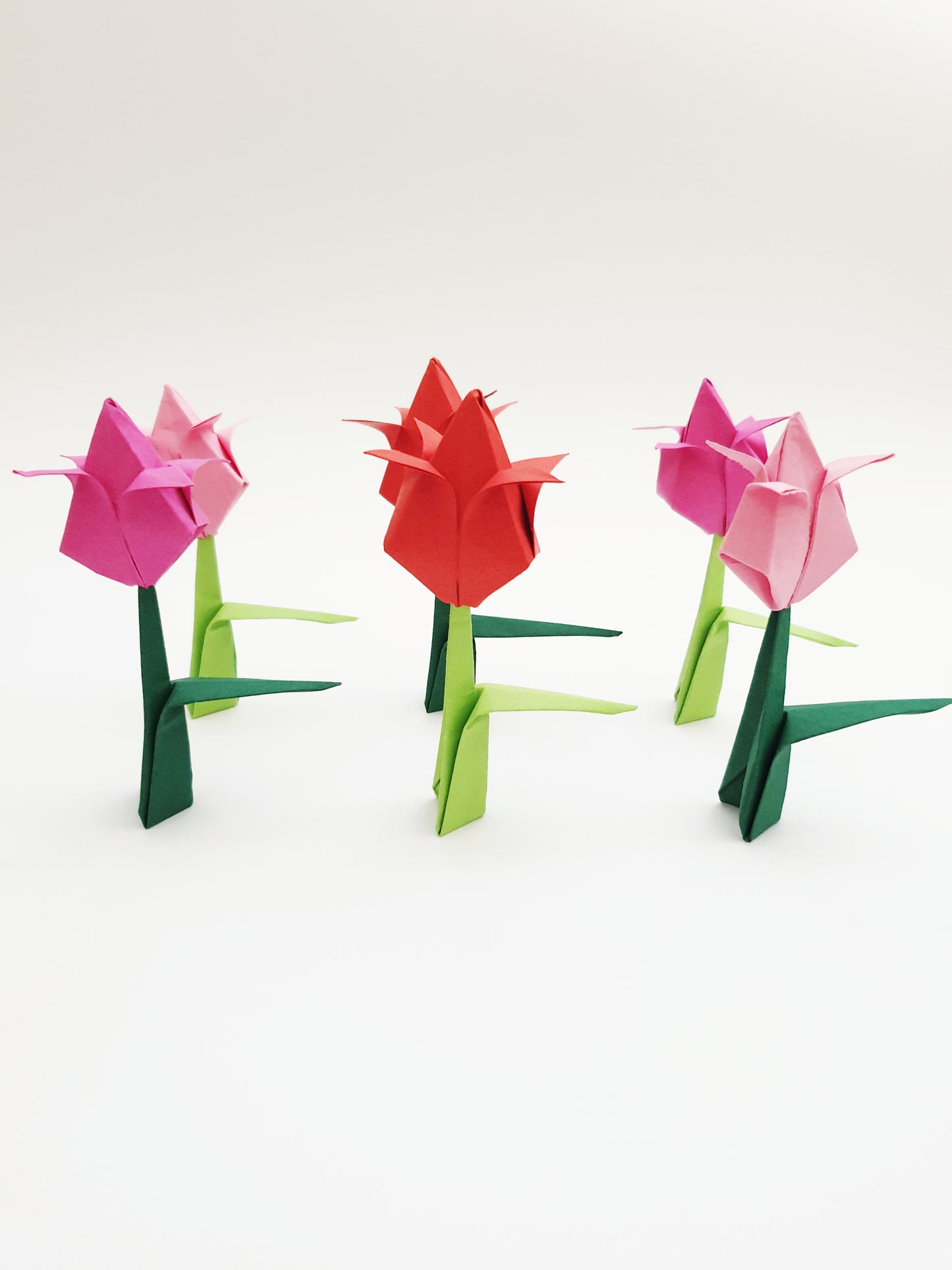 The Origami Tulips