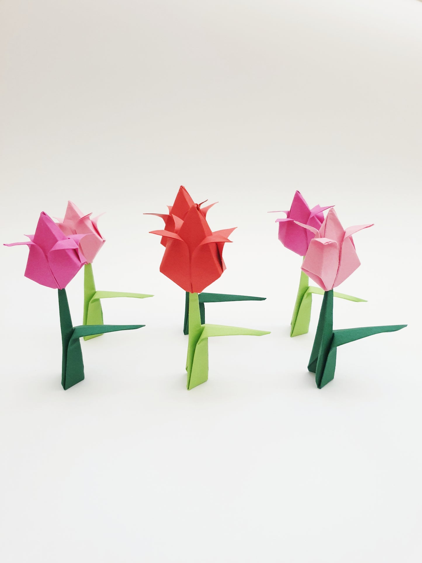 The Origami Tulips