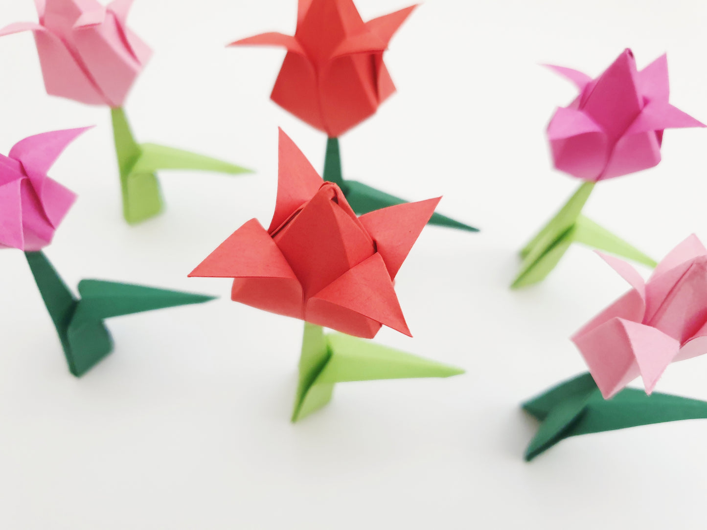 The Origami Tulips