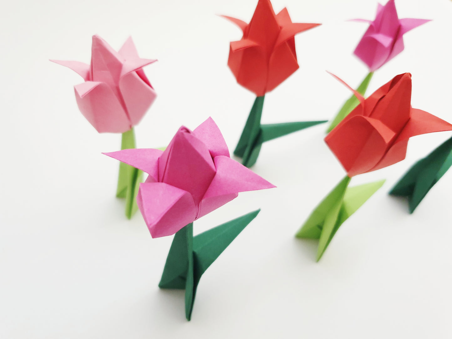 The Origami Tulips