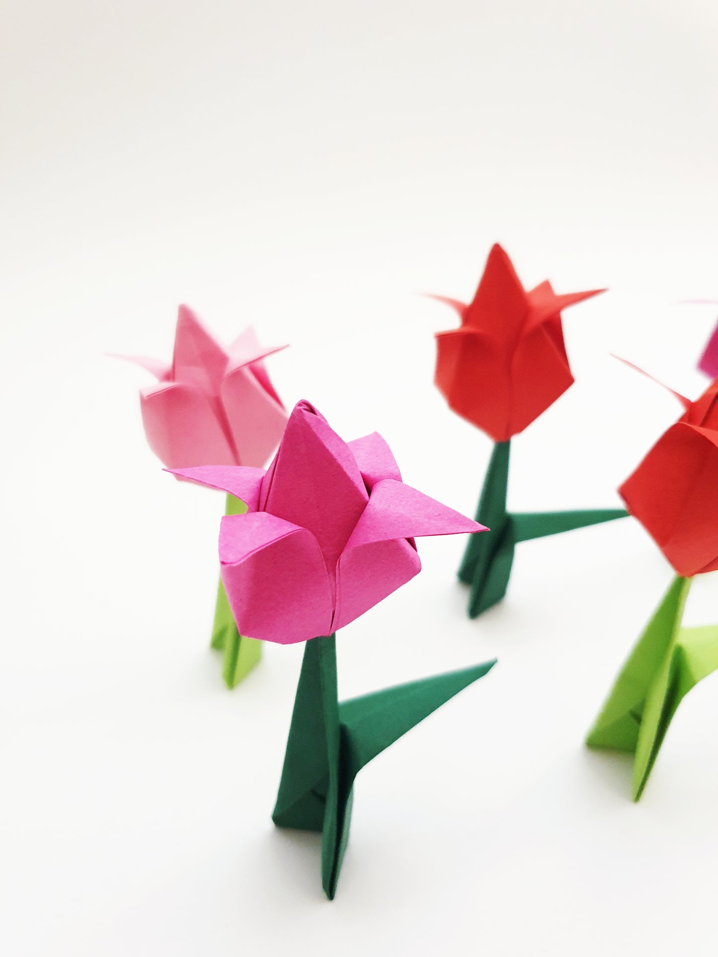The Origami Tulips