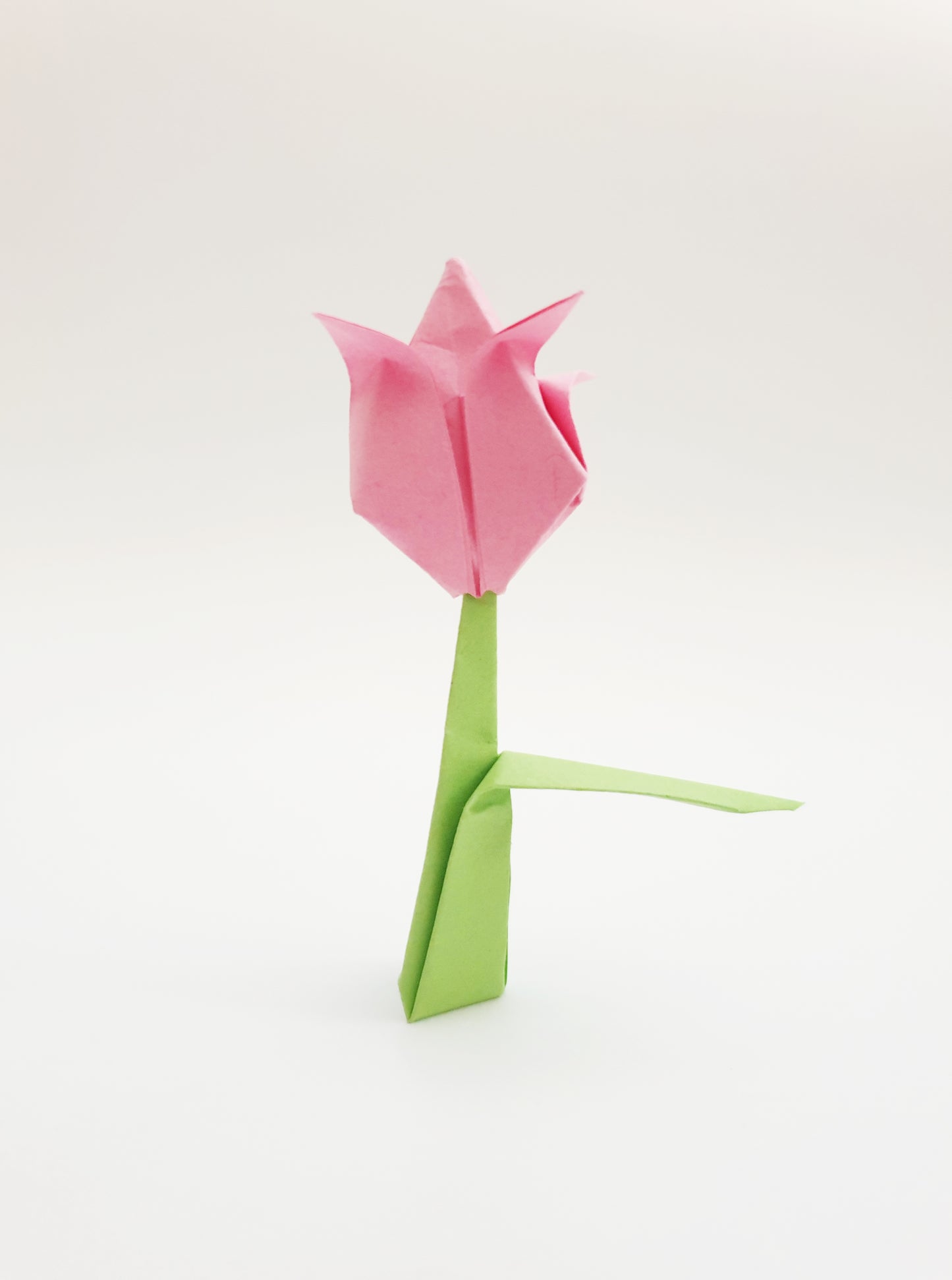 The Origami Tulips