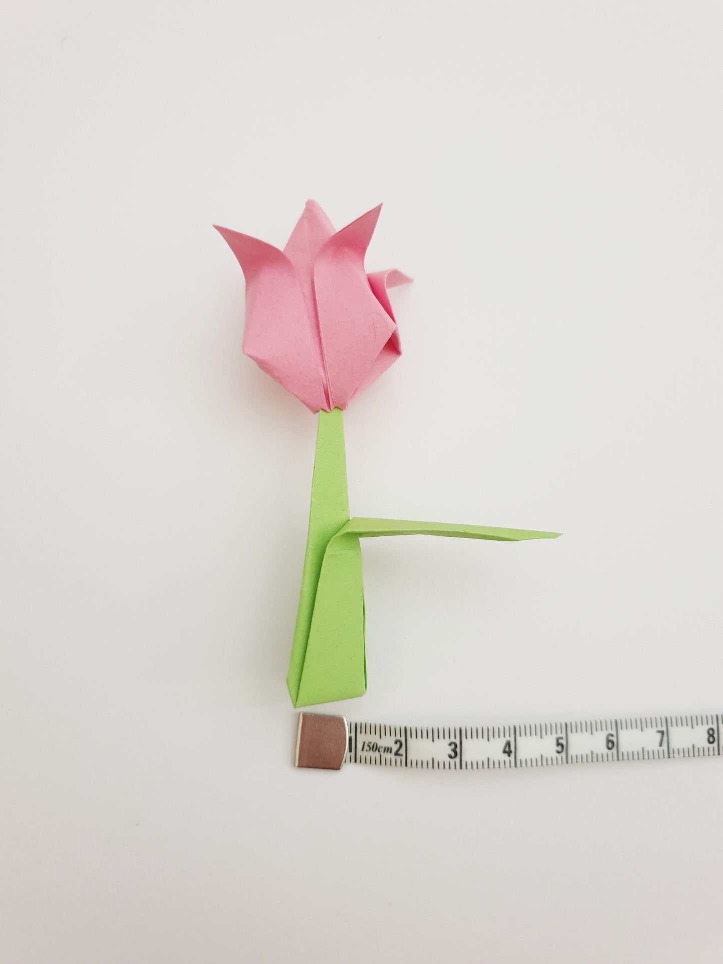 The Origami Tulips