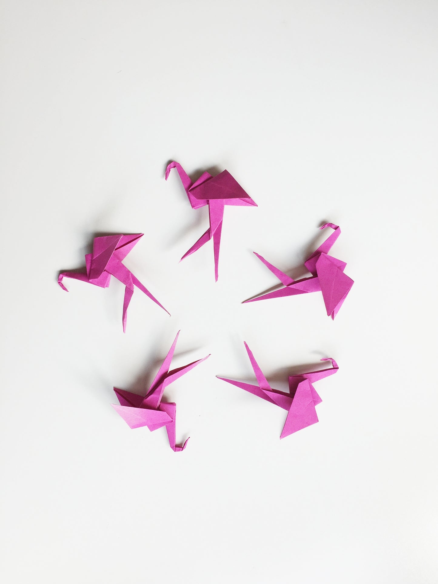The Origami Flamingos