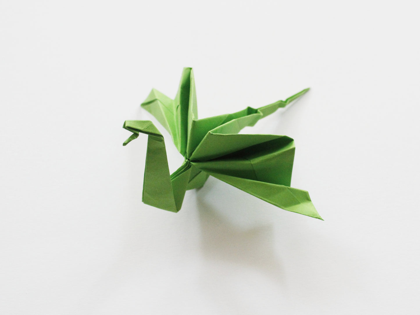 The Origami Dragon