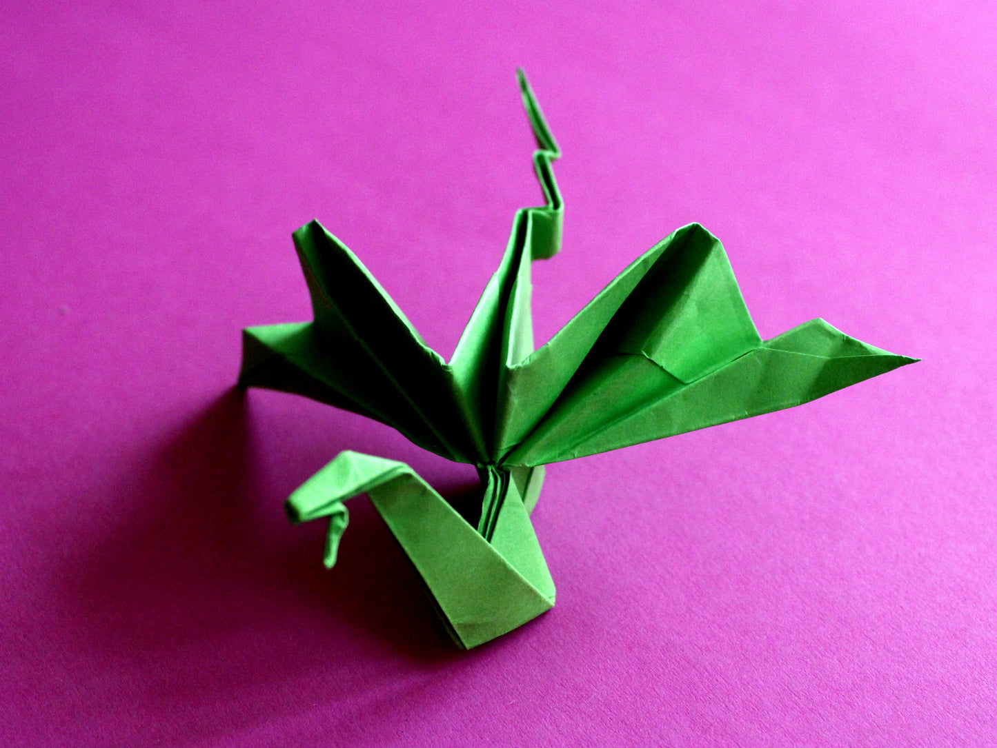 The Origami Dragon