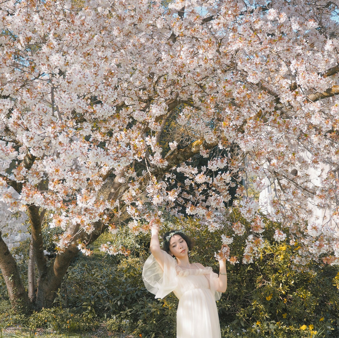 The Marjorie Gown