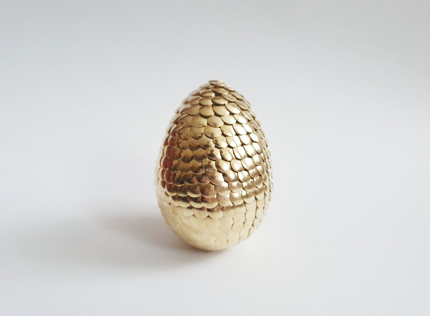 The Dragon Egg
