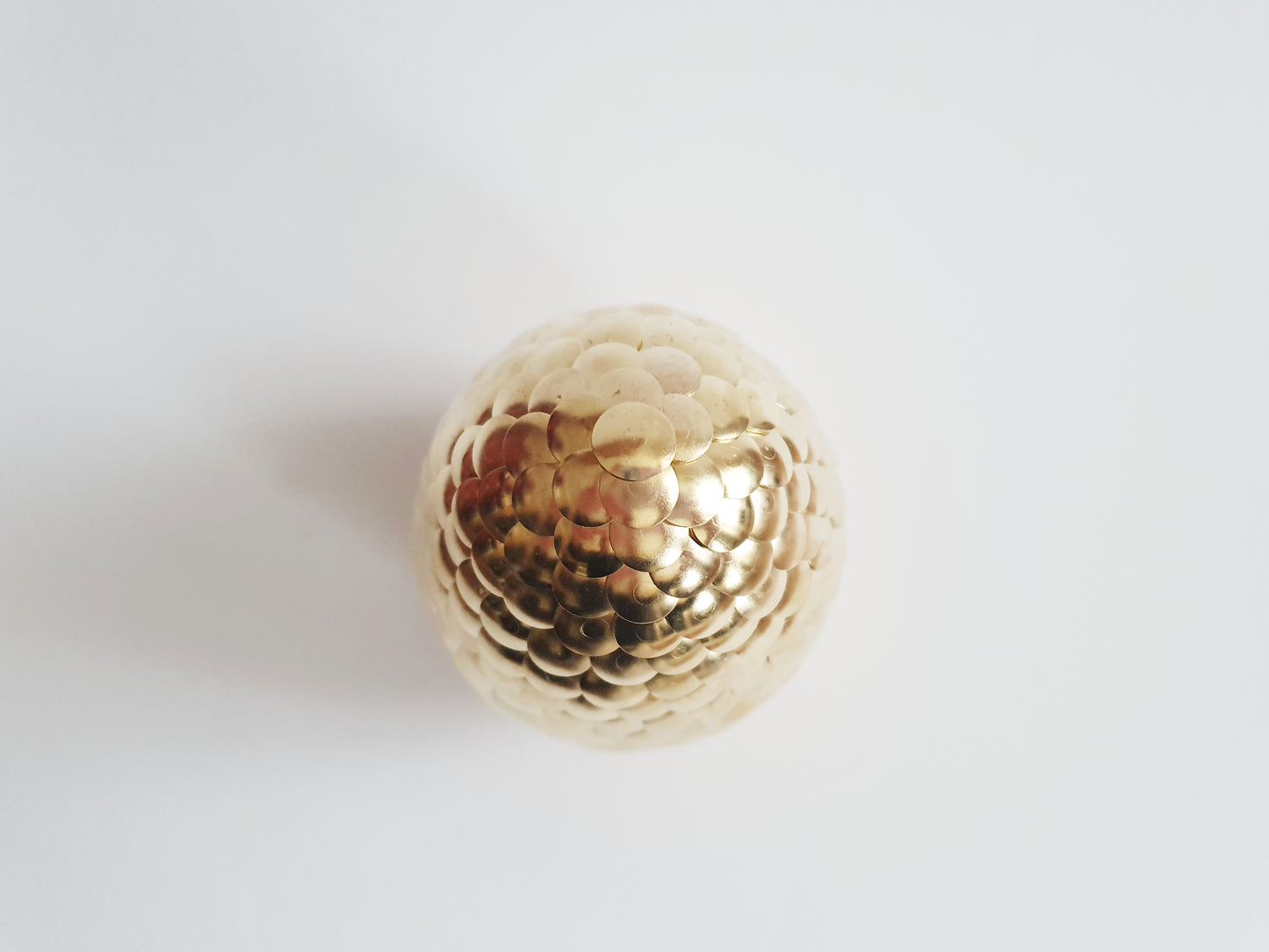The Dragon Egg