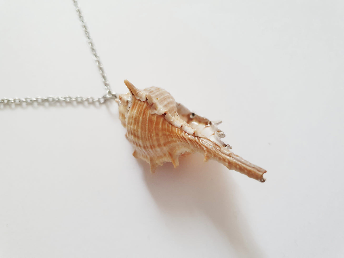 The Silver Mermaid Treasure Necklace
