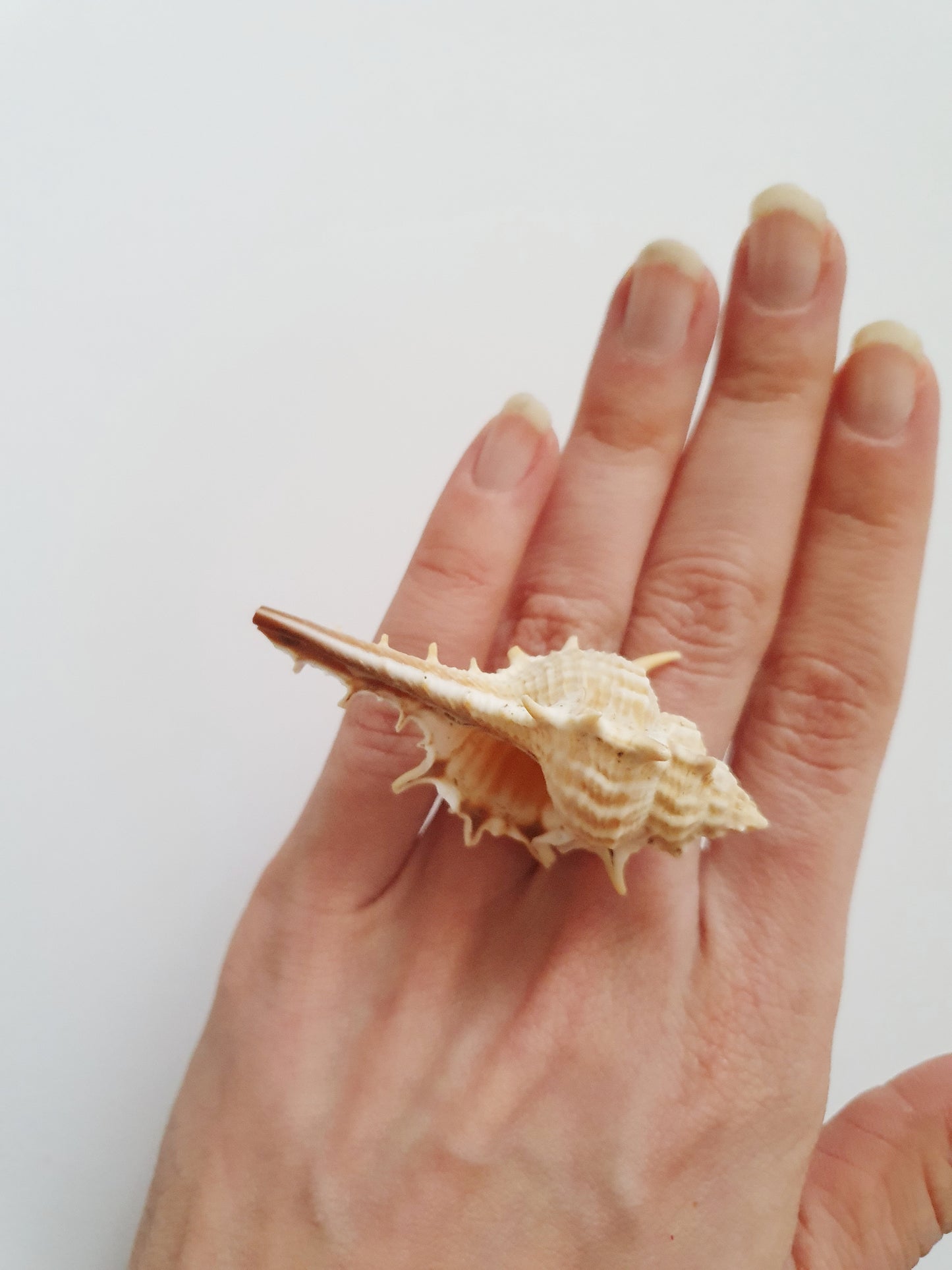 The Cream Coloured Mermaid Treasure Ring