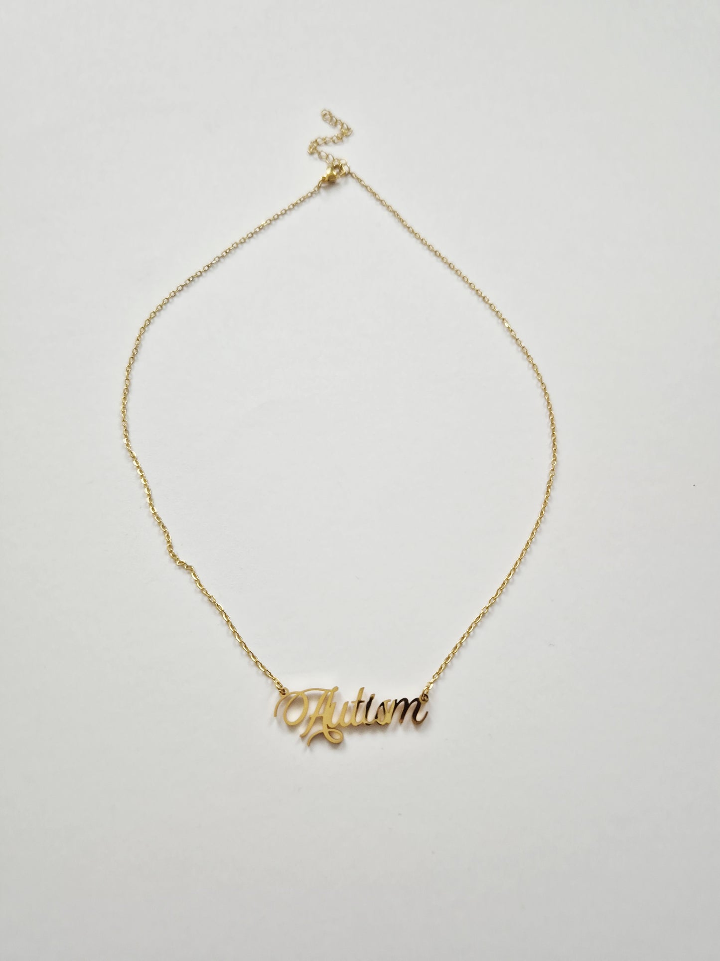The Autism Pride Necklace