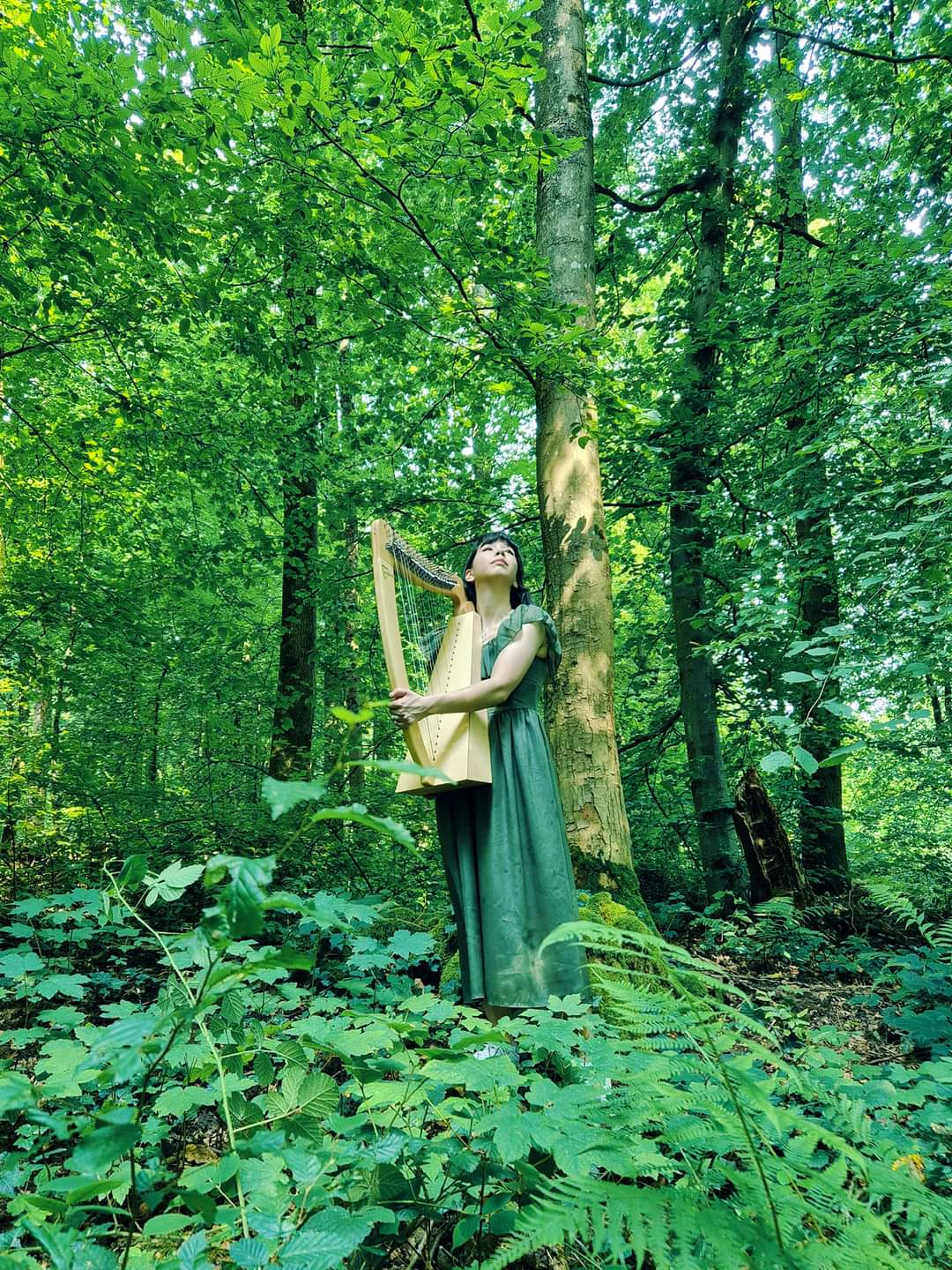 The Woodland Muse Gown