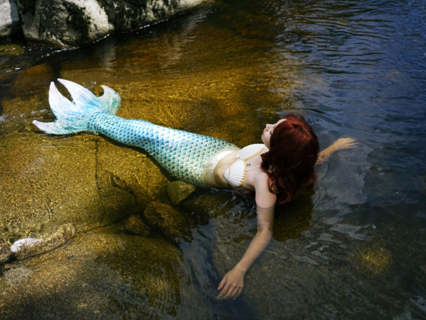 The Ariel Shell Bra