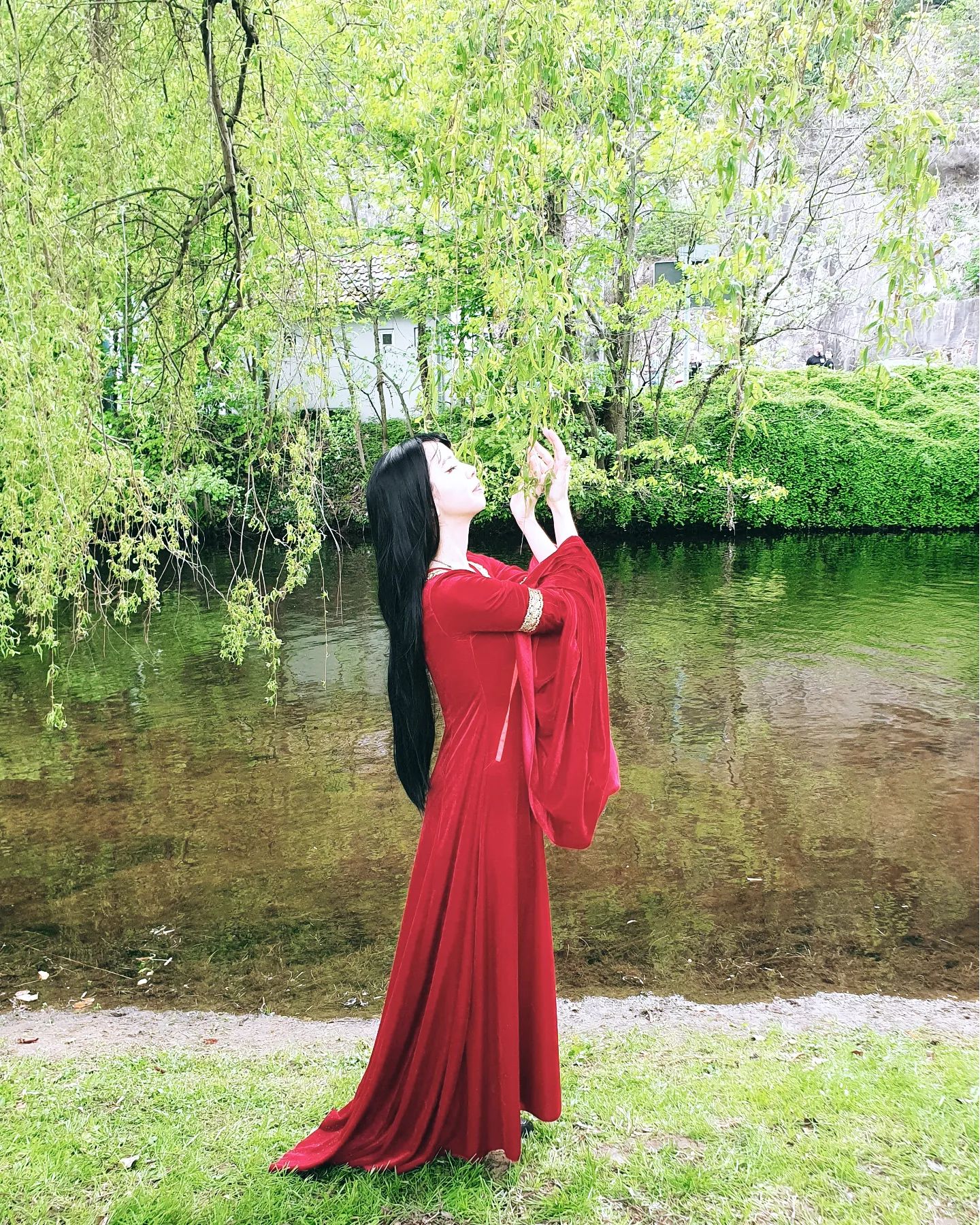 The Arwen Red Velvet Gown