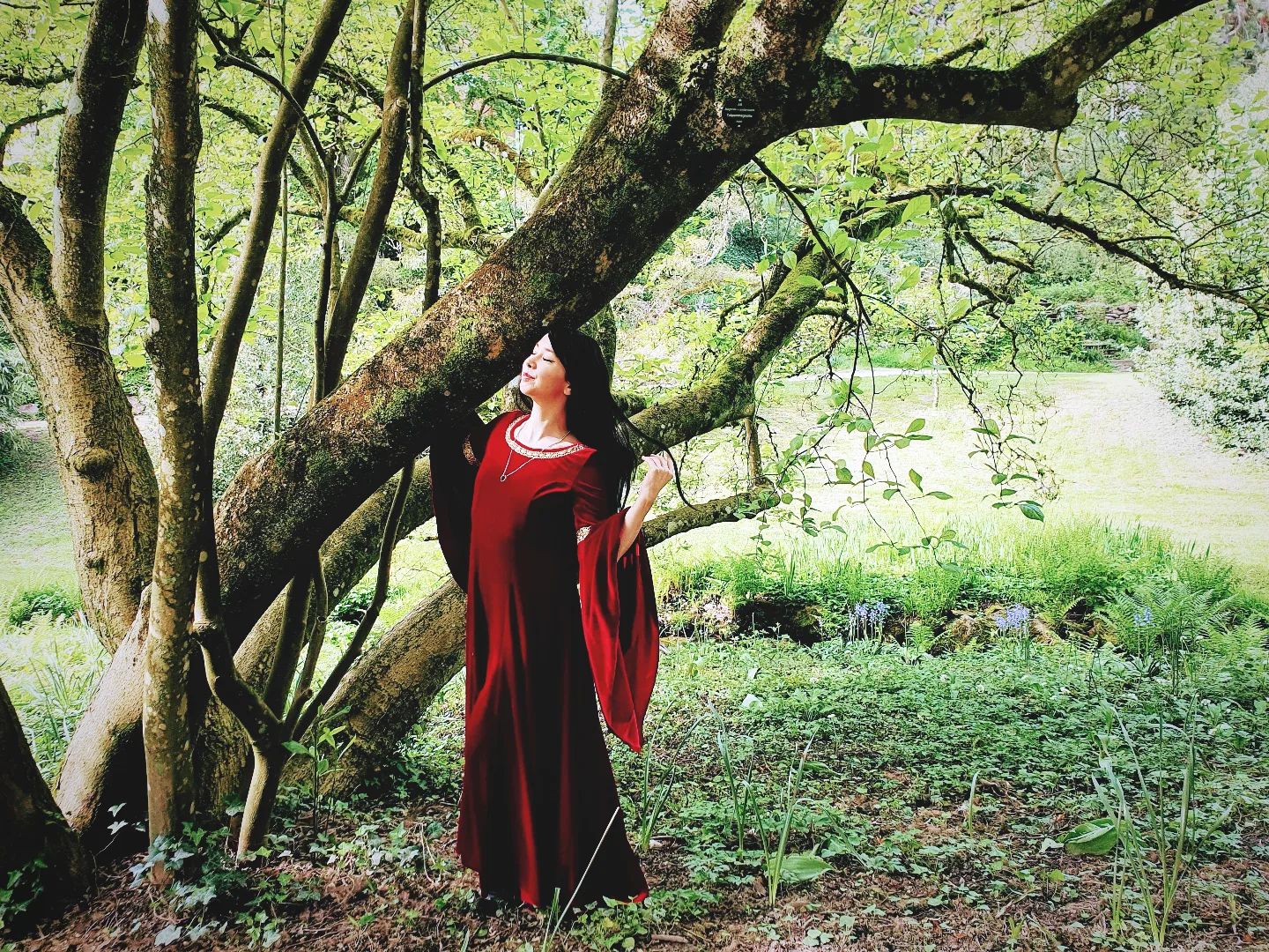 The Arwen Red Velvet Gown
