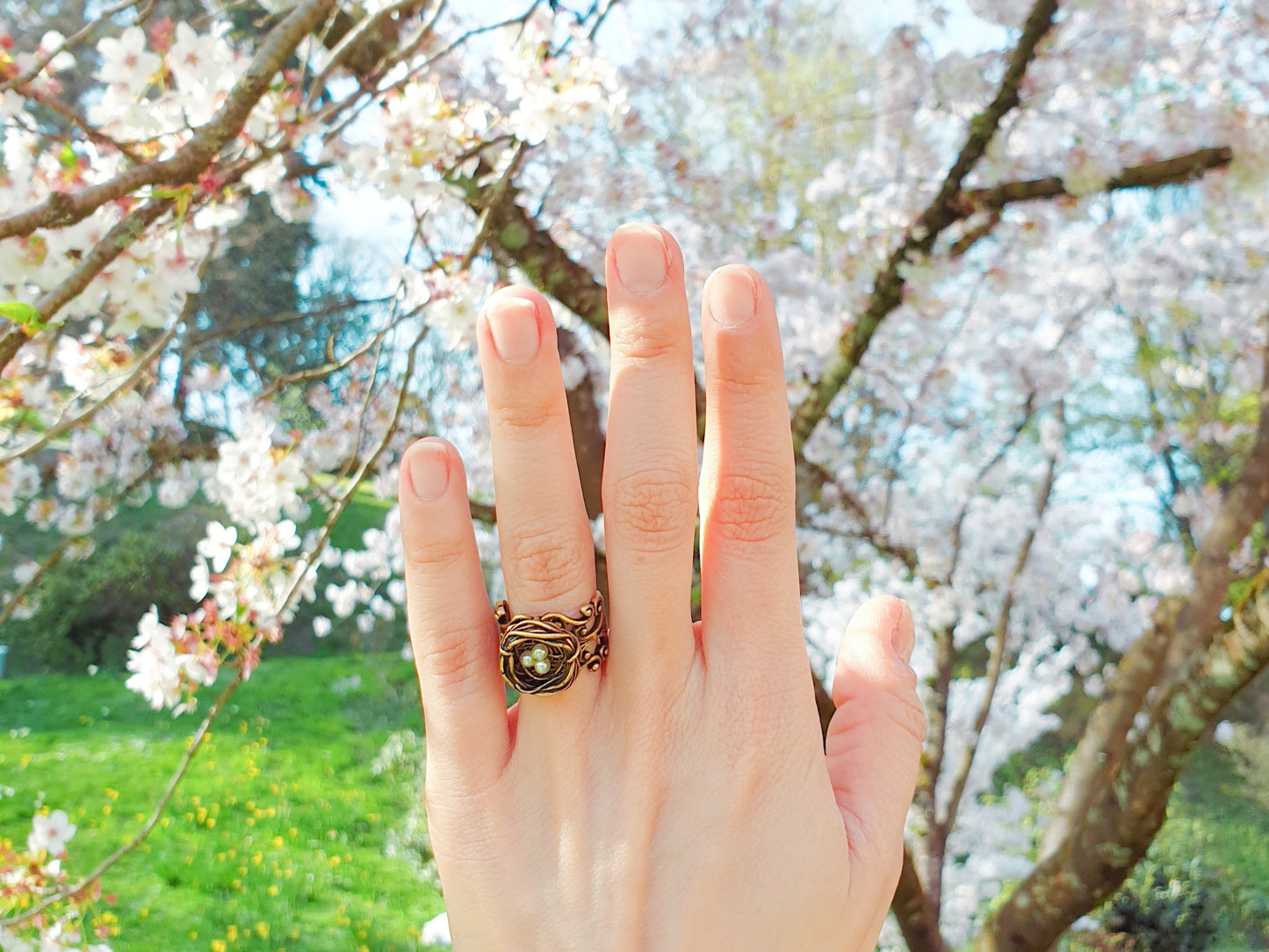 The Bird's Nest Ring