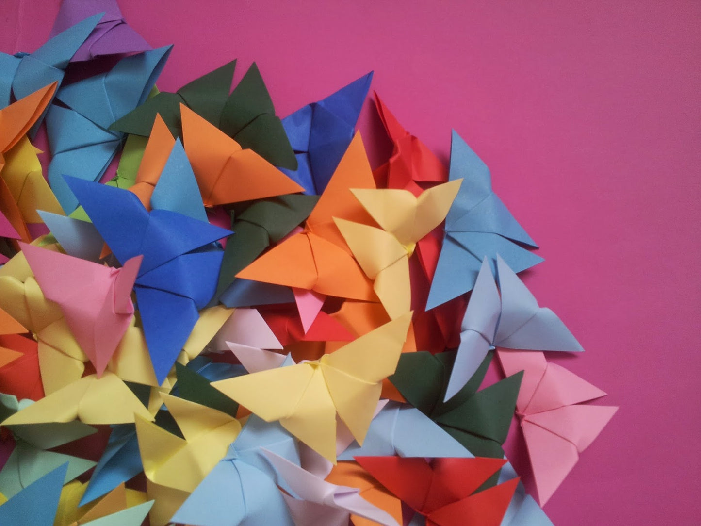 The Origami Butterflies
