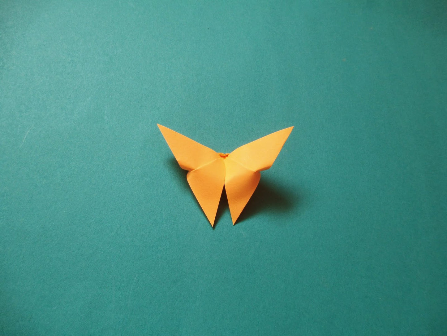 The Origami Butterflies