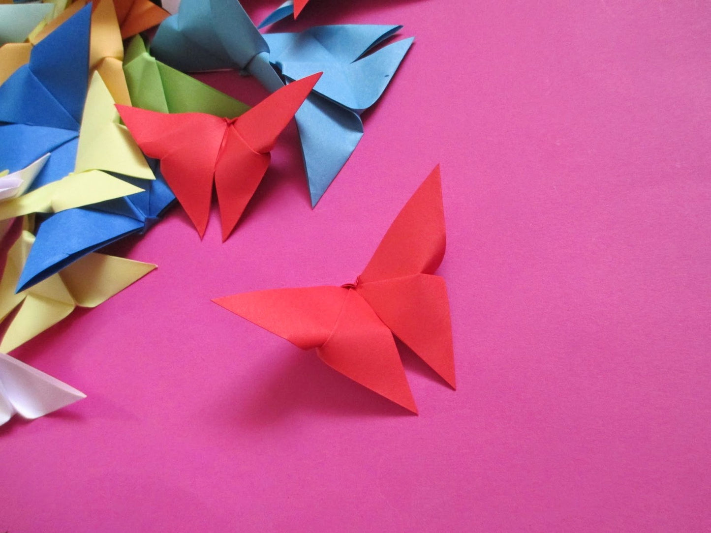 The Origami Butterflies