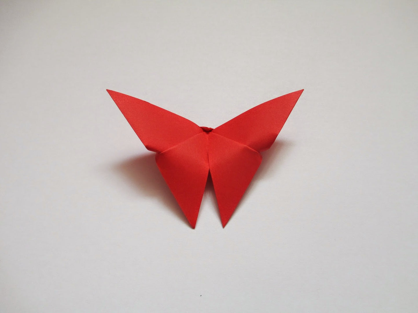The Origami Butterflies