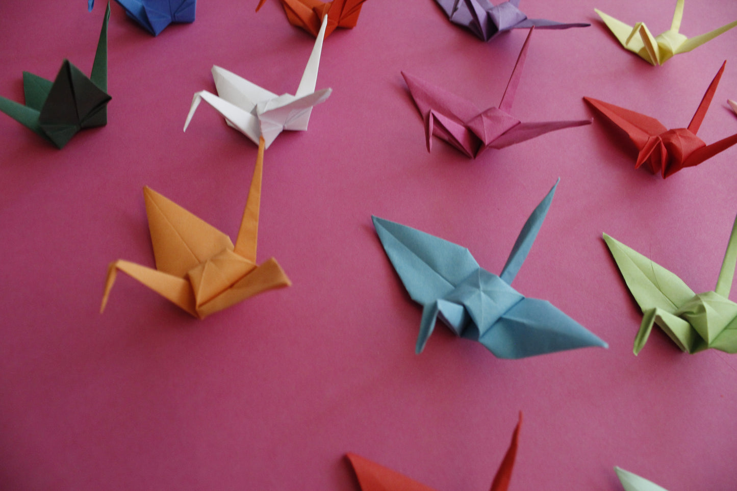 The Origami Cranes in Mixed Colors