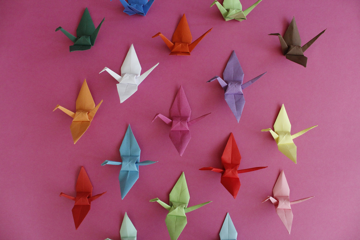 The Origami Cranes in Mixed Colors