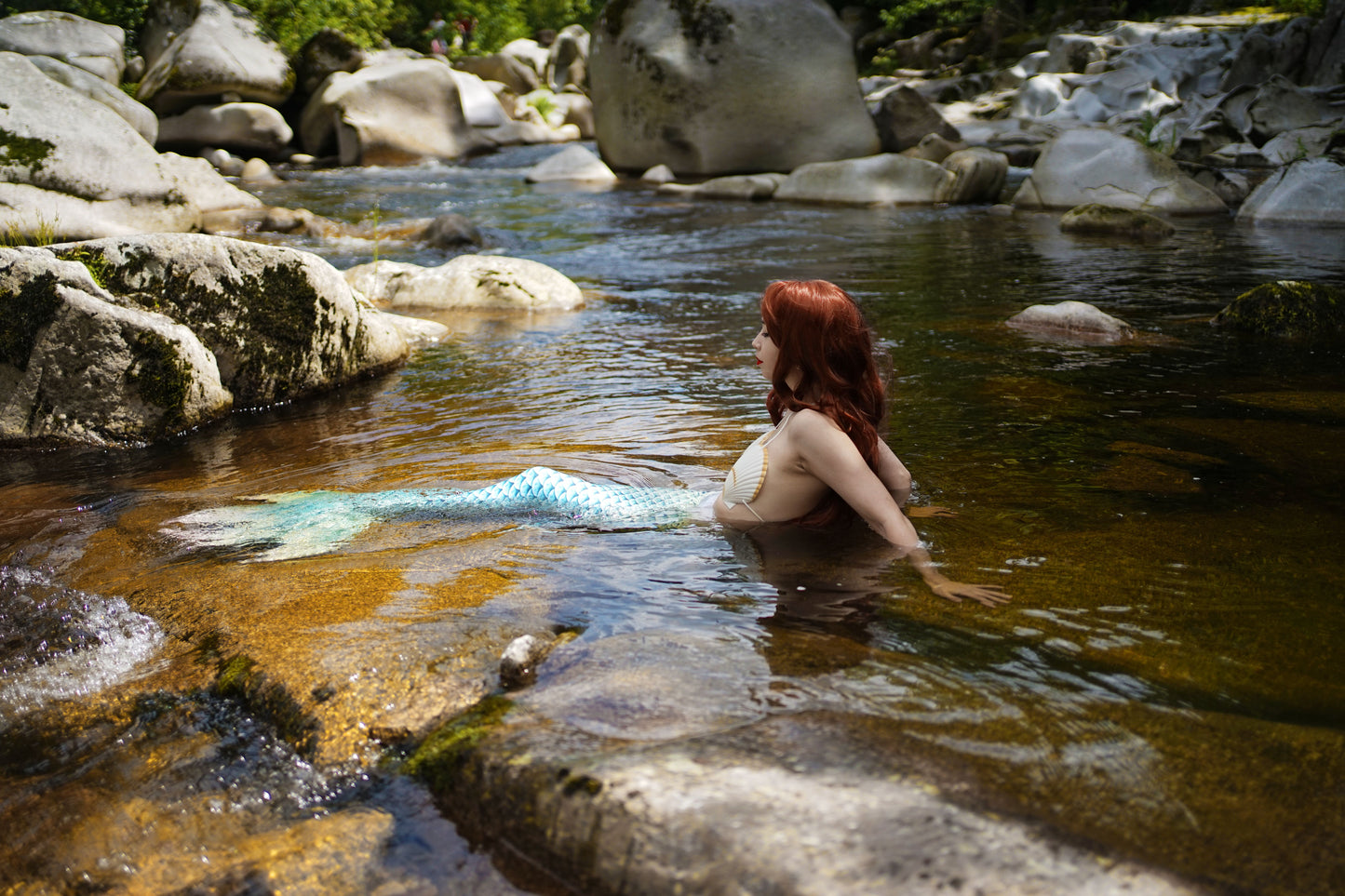 The Ariel Shell Bra