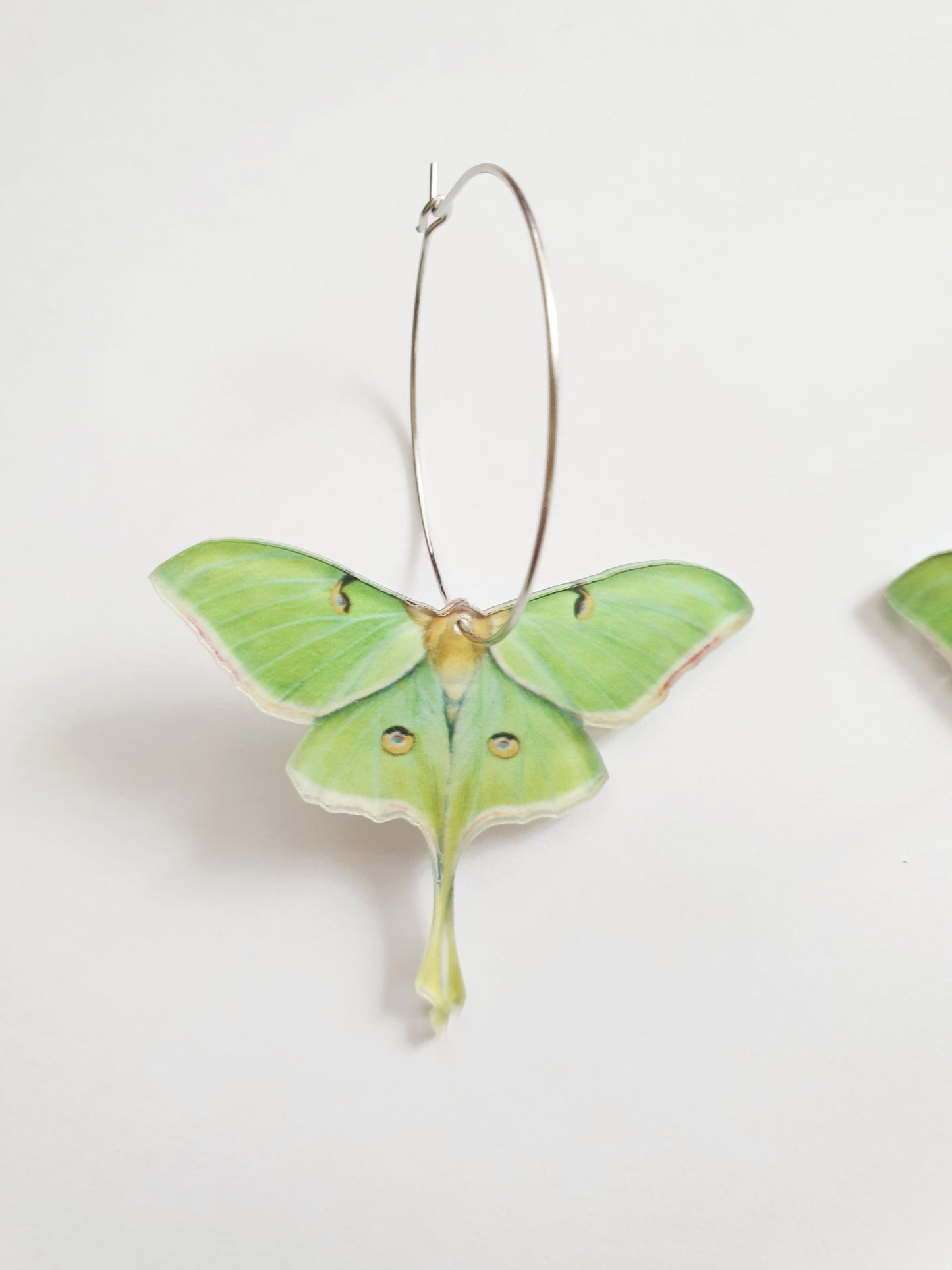 The Luna Moth Earrings