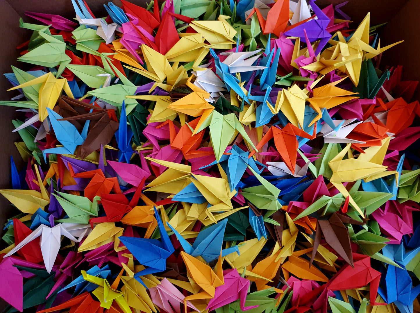 The Origami Cranes in Mixed Colors