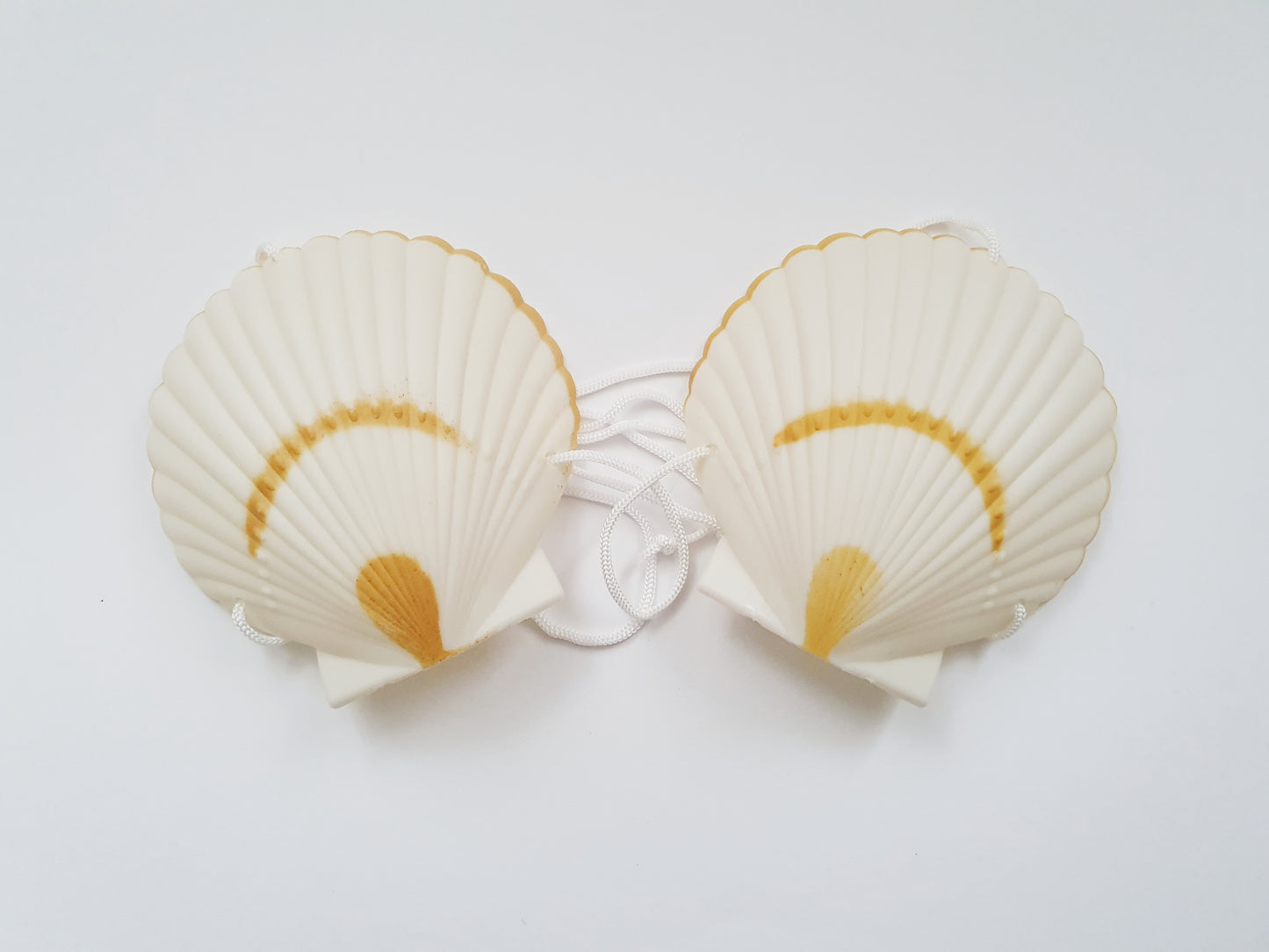 The Ariel Shell Bra