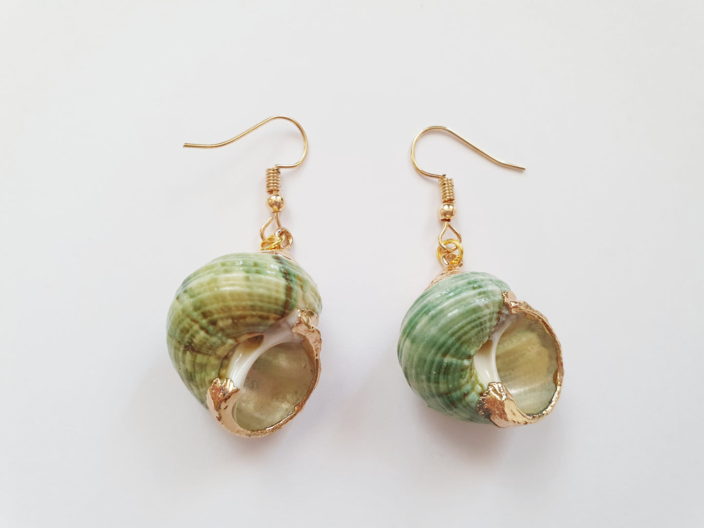 The Green Mermaid Treasure Earnings