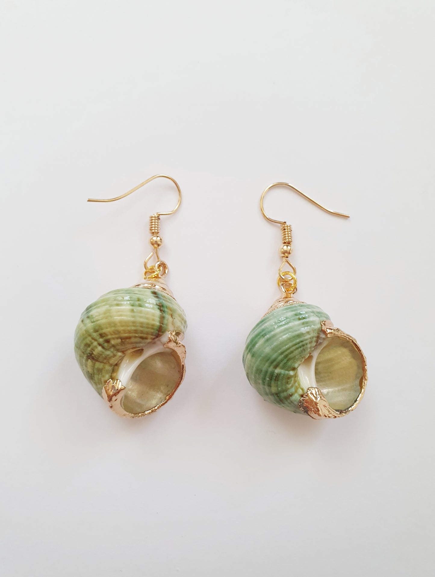 The Green Mermaid Treasure Earnings