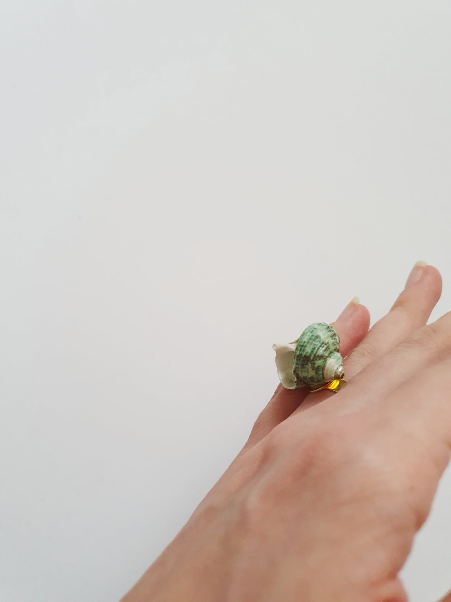 The Green Mermaid Treasure Ring