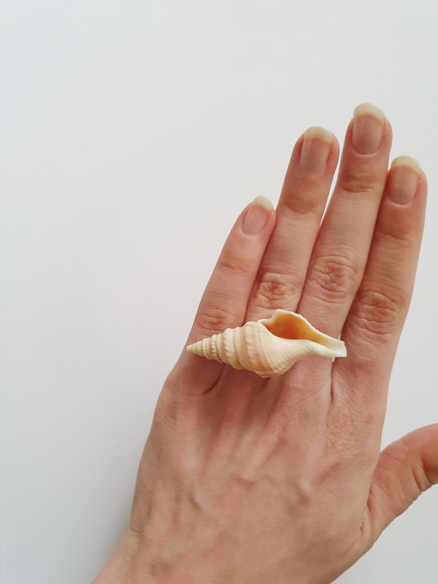 The Beige Mermaid Treasure Ring