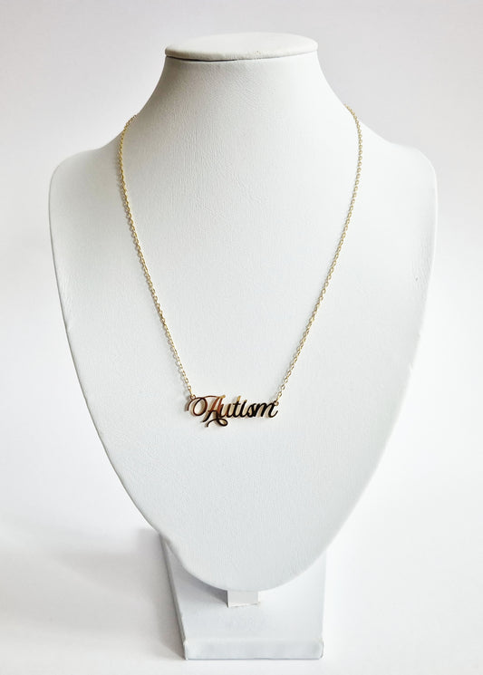The Autism Pride Necklace