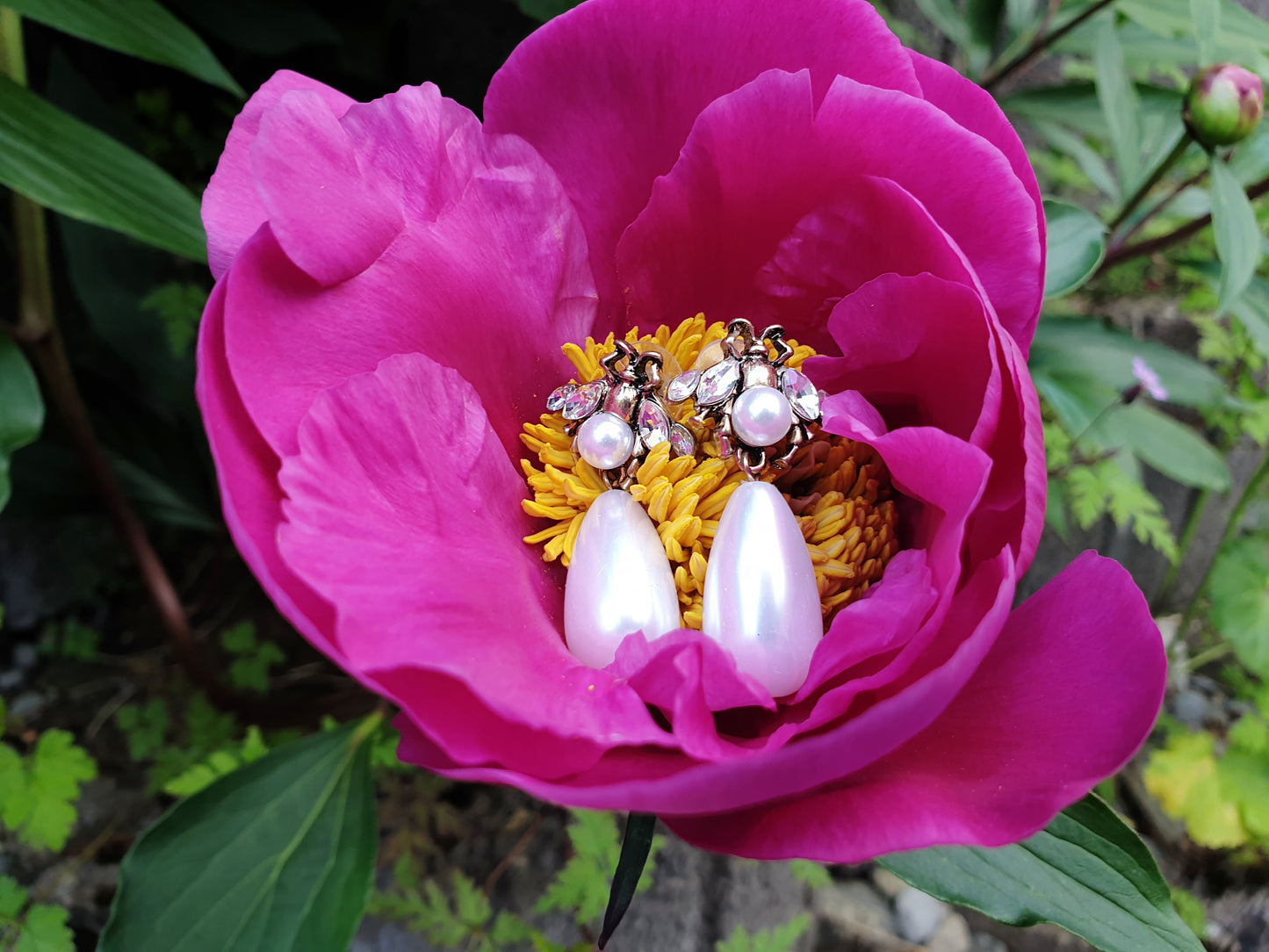 The Save The Bees Earrings