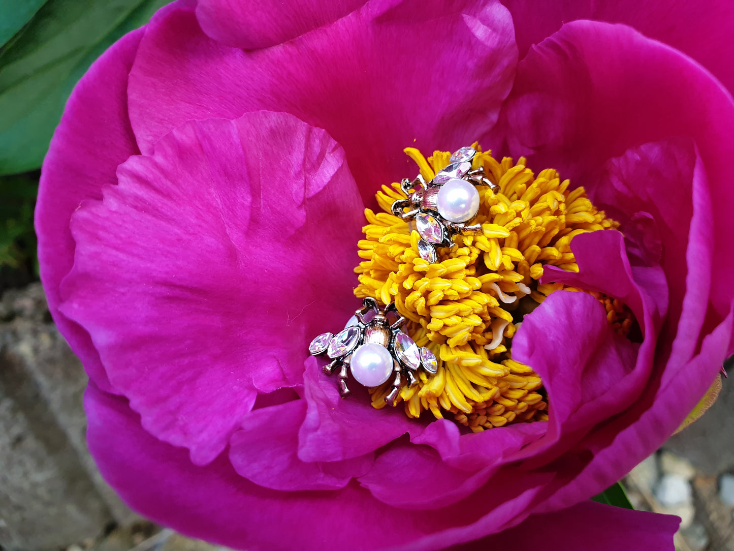 The Save The Bees Earrings