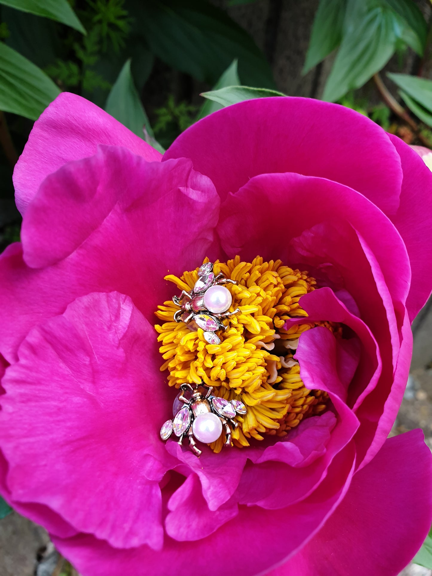 The Save The Bees Earrings