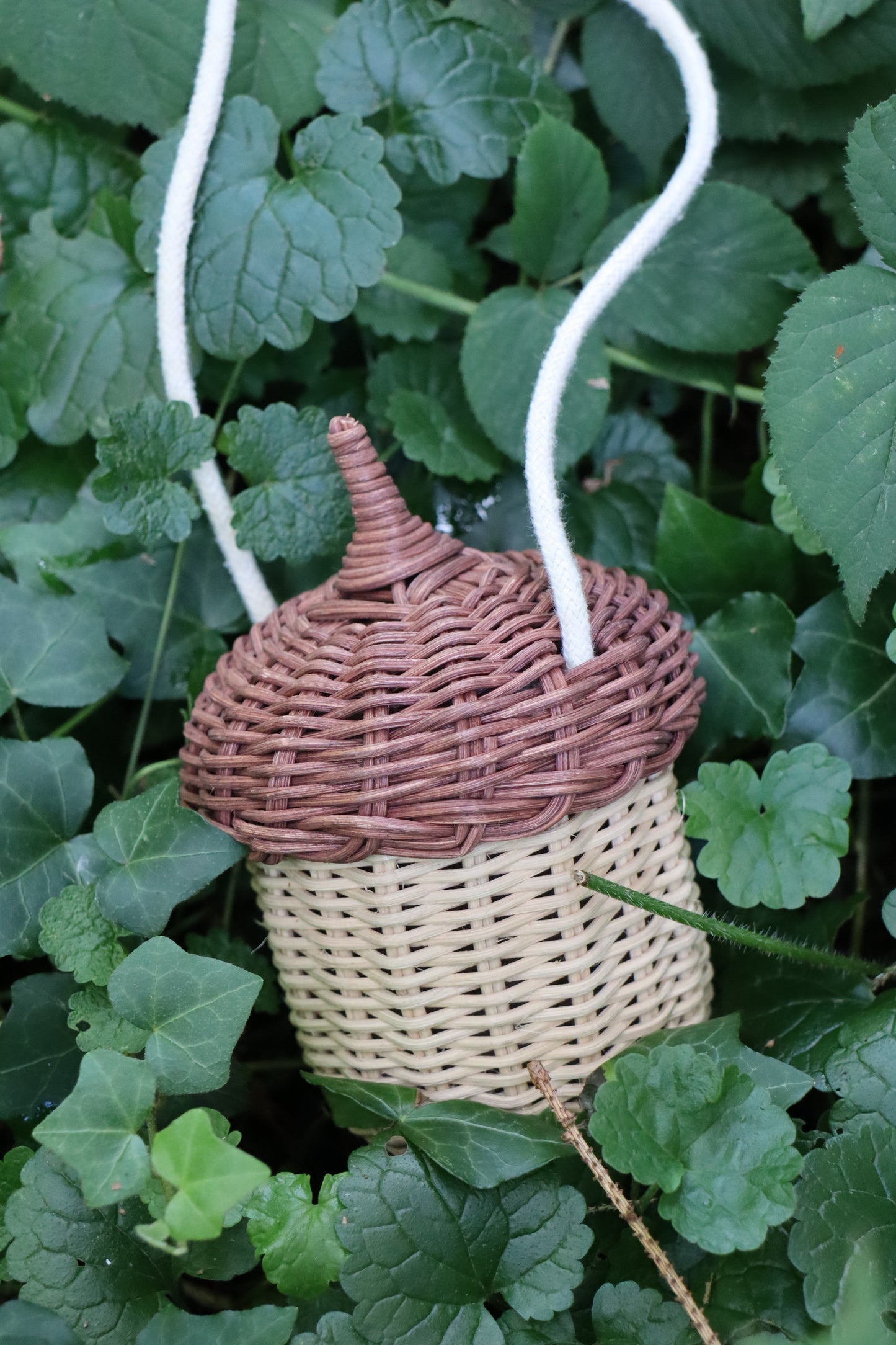 The Little Acorn Bag