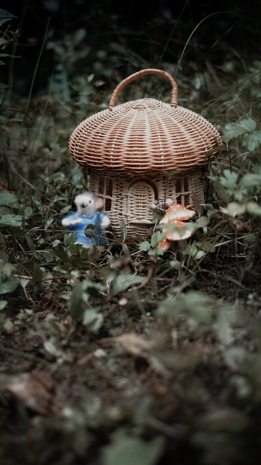 The King's Mushroom Bag